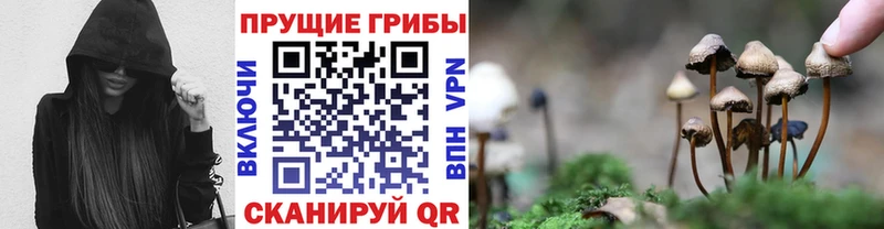 Галлюциногенные грибы ЛСД  Александровск-Сахалинский 